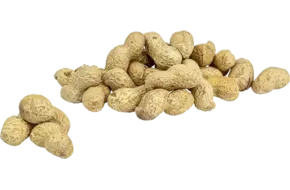 Doppinda's raw 350gr kist 8 stuks